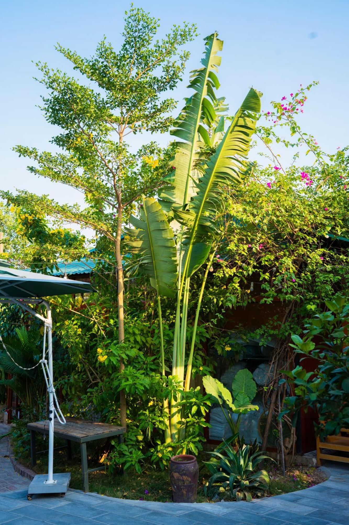 Rosa Garden Hotel Ninh Bình Ngoại thất bức ảnh