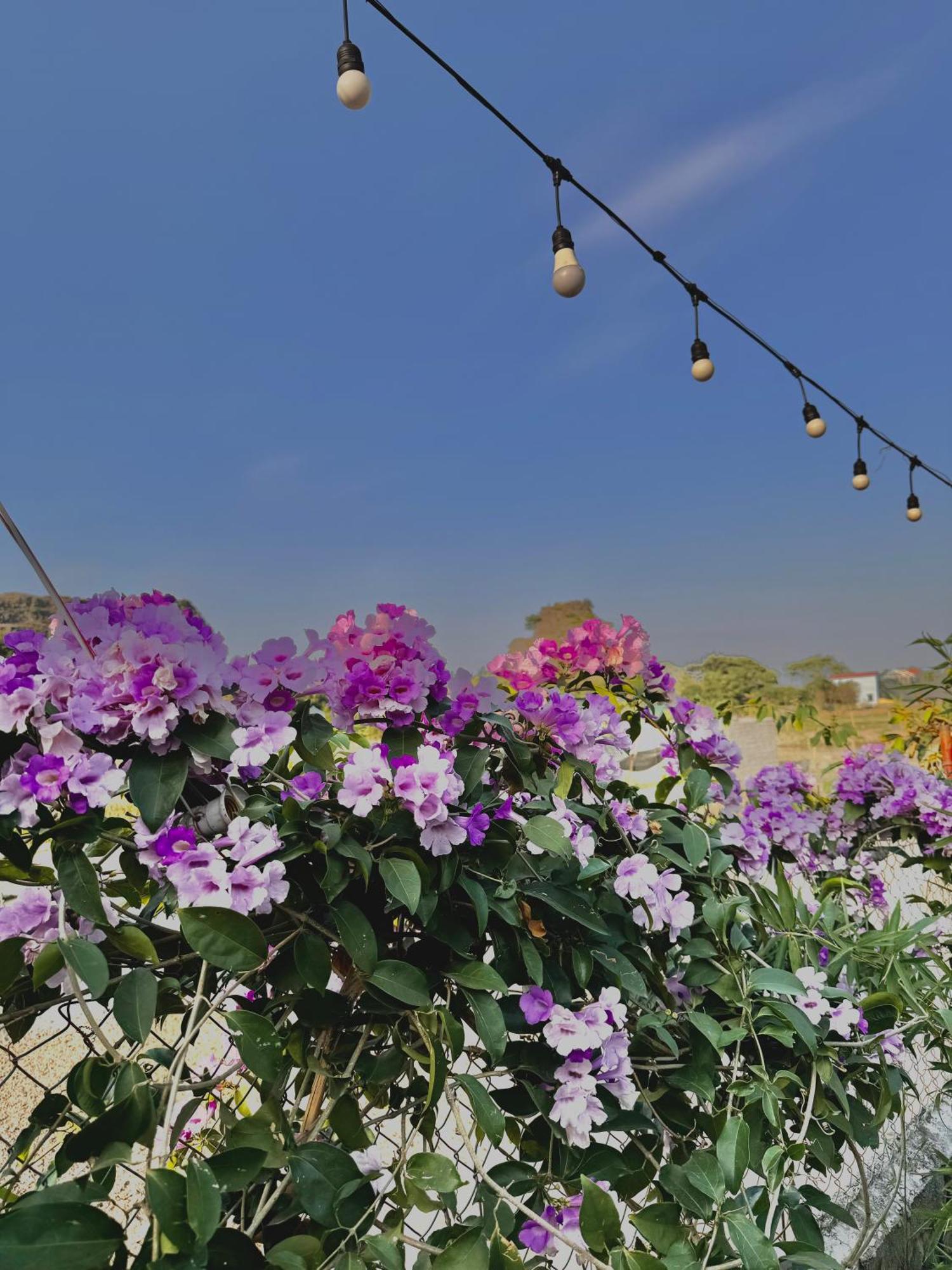Rosa Garden Hotel Ninh Bình Ngoại thất bức ảnh